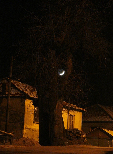 Месечина в клоните