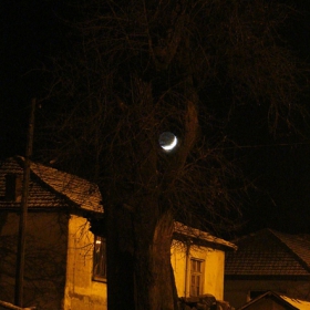 Месечина в клоните