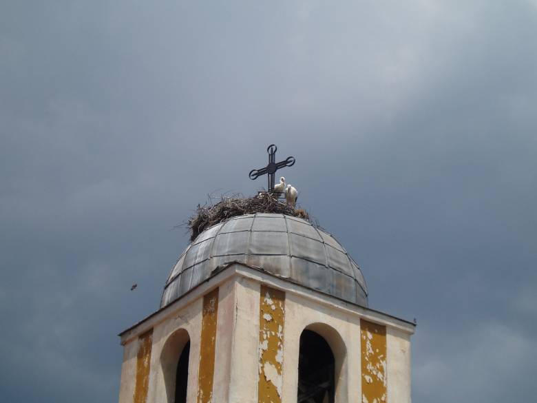Curkwa s shturkeli