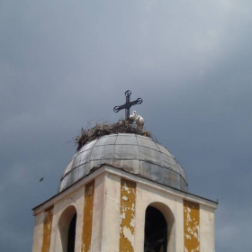 Curkwa s shturkeli