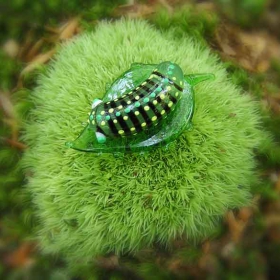 природа и цивилизация