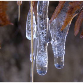 Ice Tears