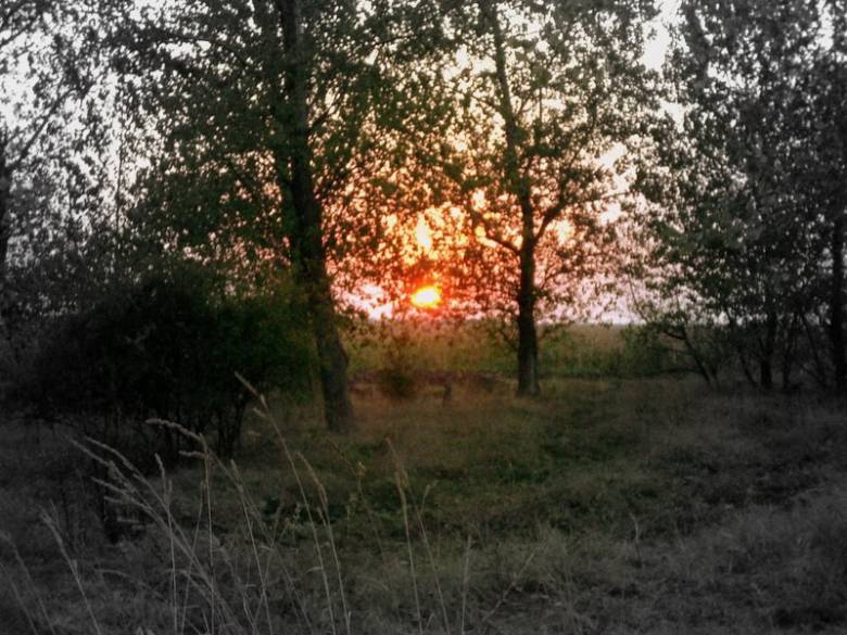 залез