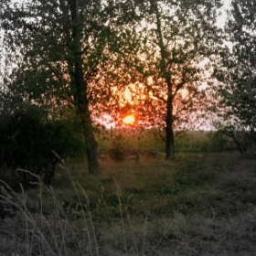 залез