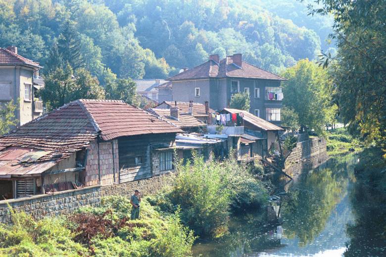Triavna