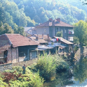Triavna