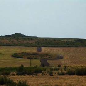 Аграрно изкуство