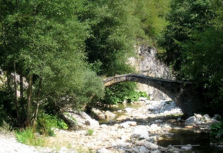 The Bridge