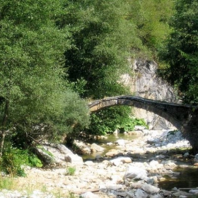 The Bridge