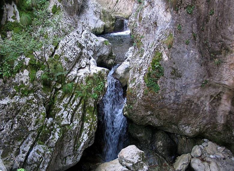 The source of life