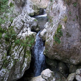 The source of life