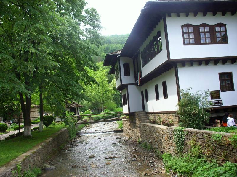 Край реката,под дърветата
