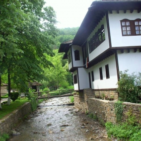 Край реката,под дърветата