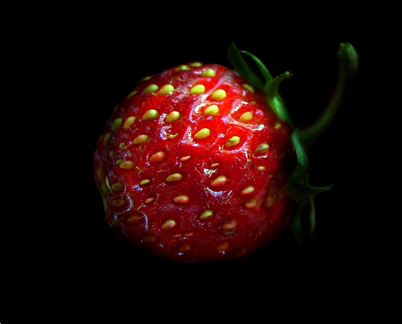 ***[red]***