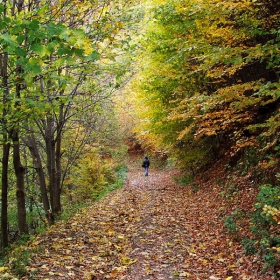 Есенна гора