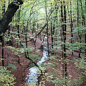 Реката край 