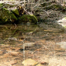 vodno