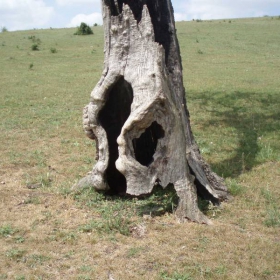 Хралупата на една светкавица :D