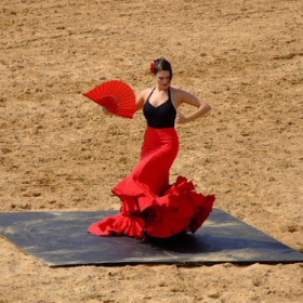 flamenco 2