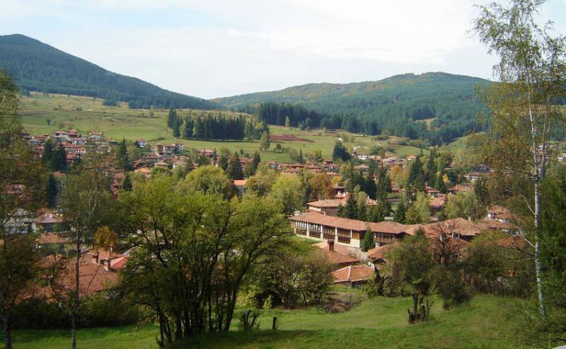  Копривщица