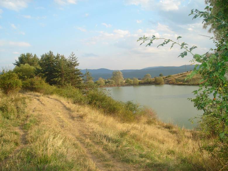 Жеравна