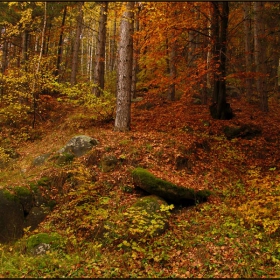 красивото около нас ІІ