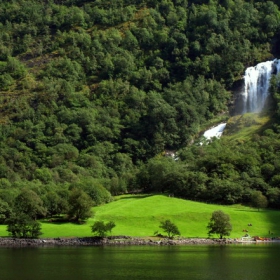 The green color of Norway