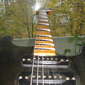 Guitar Nature