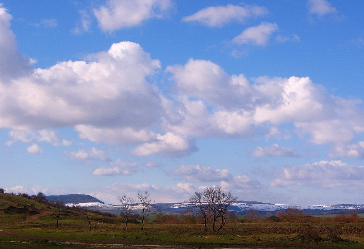 Предзимно