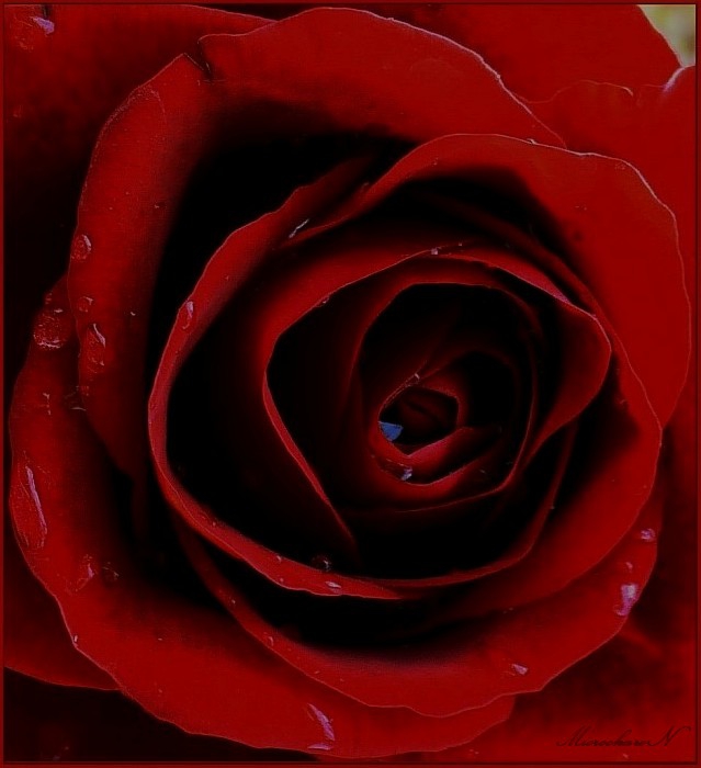..And if love conquers all, This one will last forever.