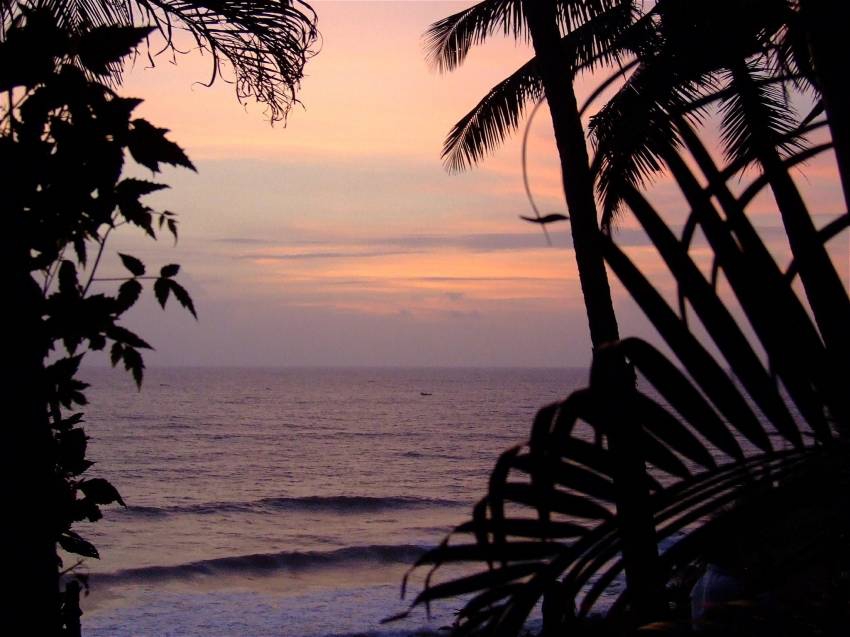 end of the jungle