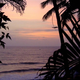 end of the jungle