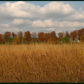 На края на града