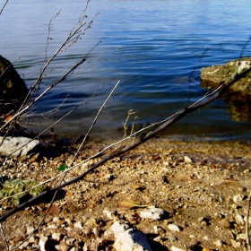 Тихи дунавски води мият българския бряг