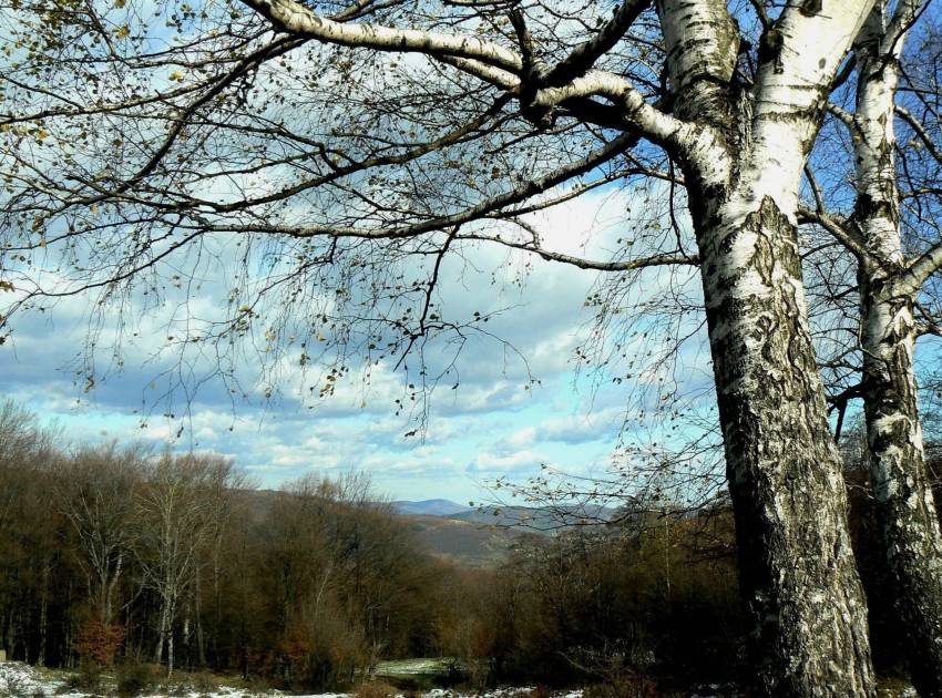 Някъде из България 2
