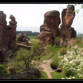 Inside the Fortress