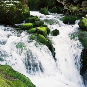 Дива вода