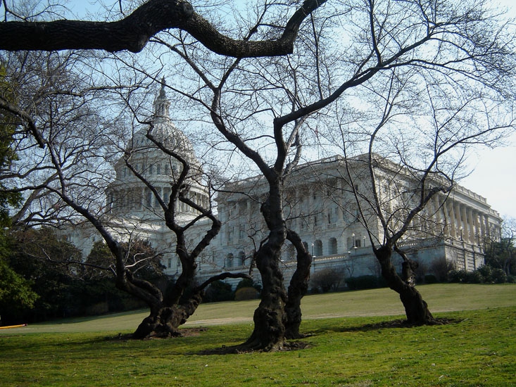 Capitol, Washington DC