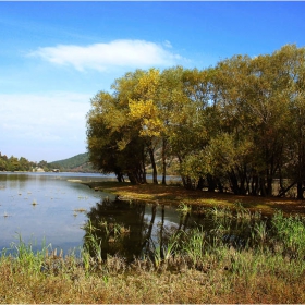 пейзажче ня'кво