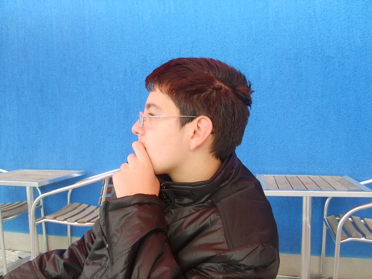 misli