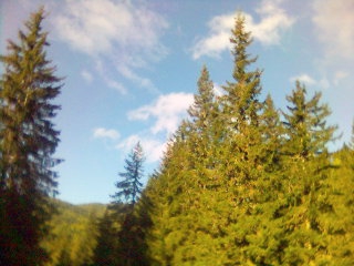nqkade iz Pirin planina......
