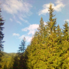 nqkade iz Pirin planina......