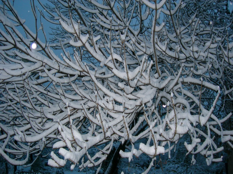 snejna pletenica