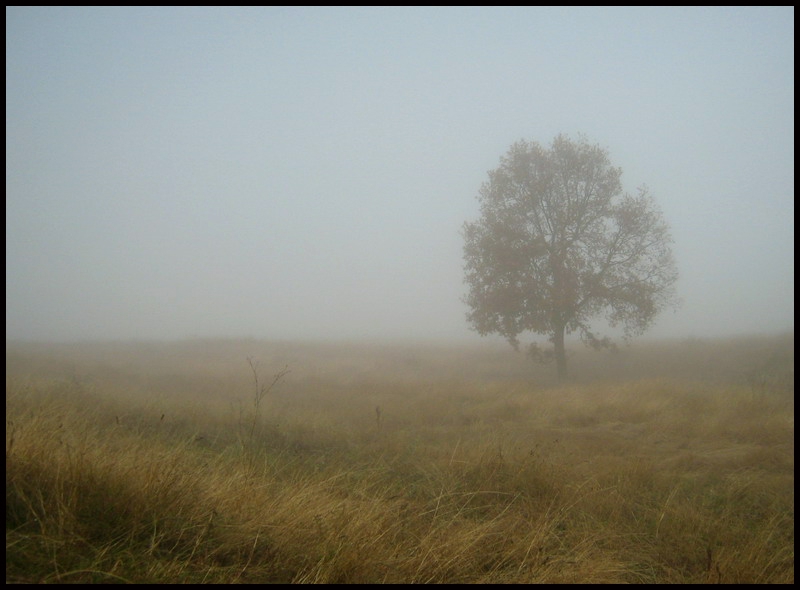 Самотно2