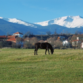 Годлево