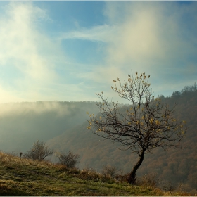 Неделя 08:30 H, бавно пробуждане...