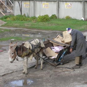 Следизборно