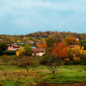 Шарено настроение...