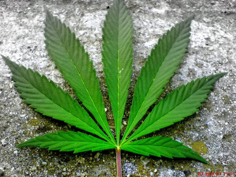 Mary Jane