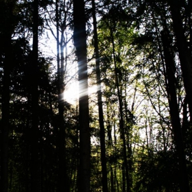 Light